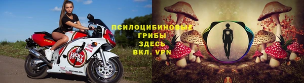 прущие крисы Армянск