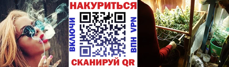 OMG ссылка  Томари  Шишки марихуана марихуана 